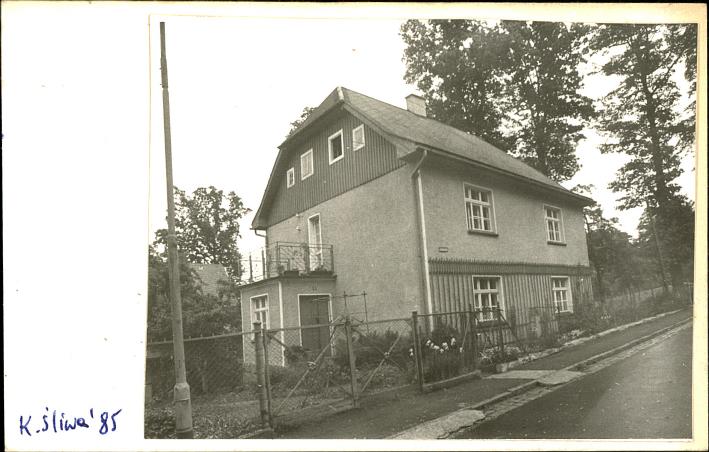 dom, skan 2