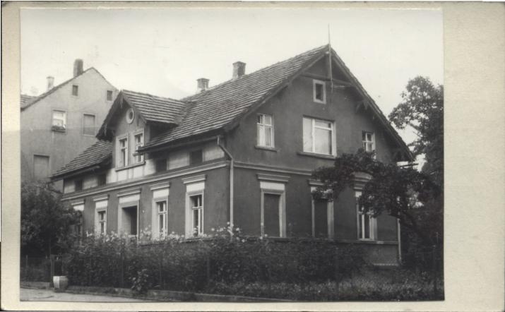 willa, skan 2