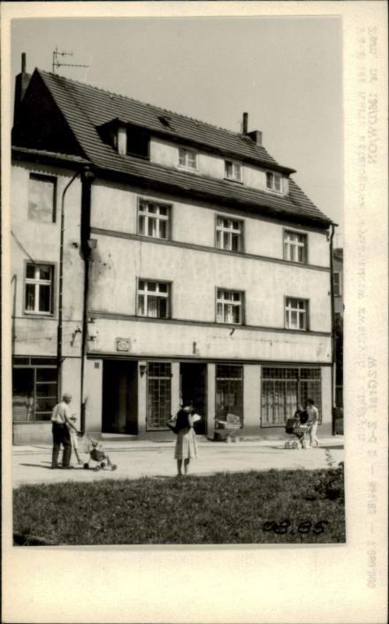 dom, skan 2