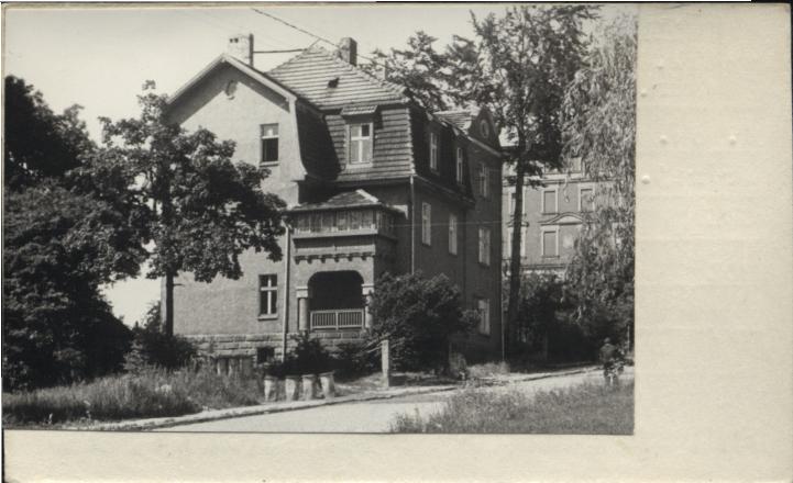 willa, skan 2