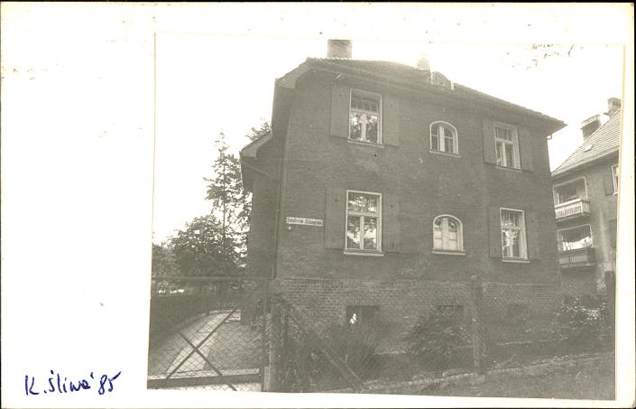 dom, skan 2