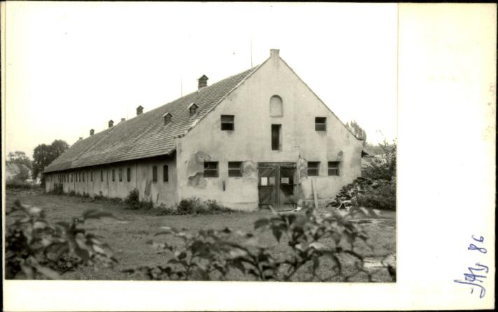obora dworska, skan 2