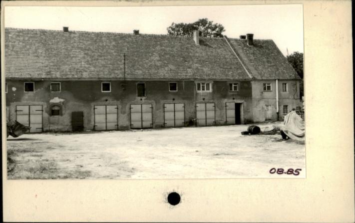 stajnia w stadninie koni, skan 2