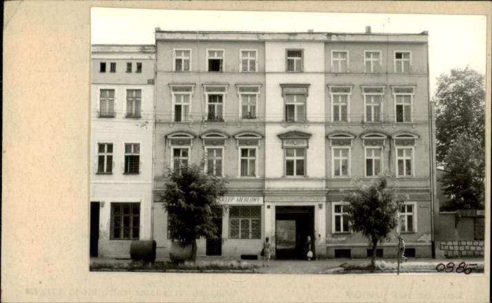 dom, skan 2