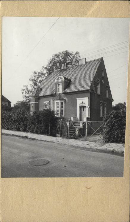 willa, skan 2