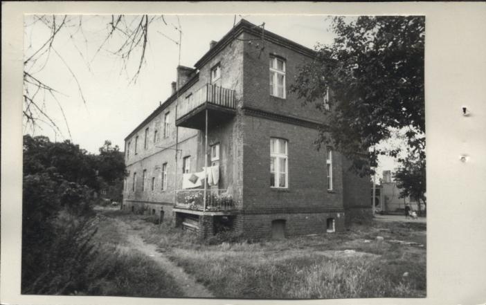 willa, skan 2