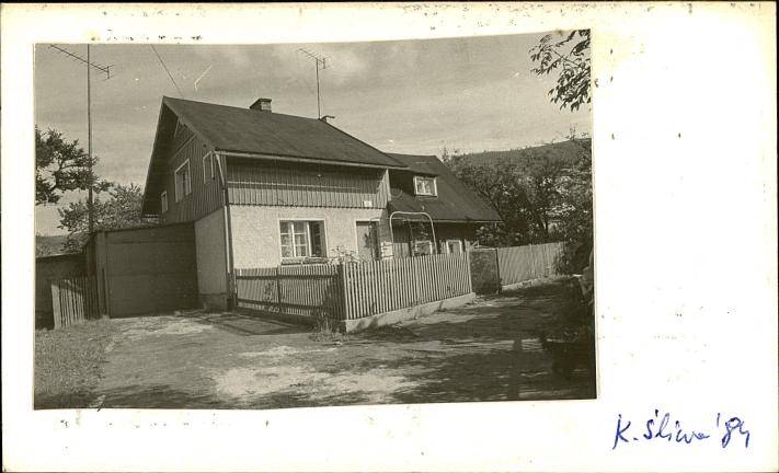 dom, skan 2