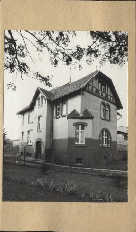 willa, skan 2