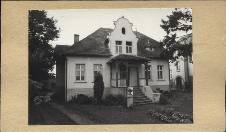 willa, skan 2