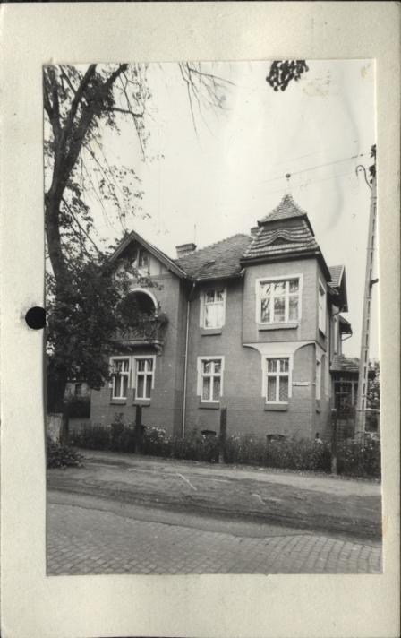 willa, skan 2
