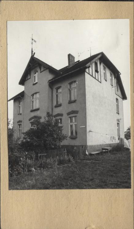 willa, skan 2