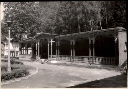hala spacerowa, skan 2