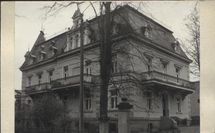 willa Immaculata, skan 2