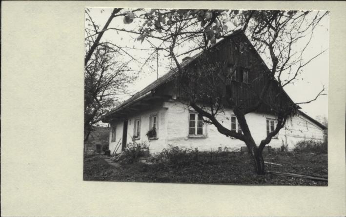 dom, skan 2