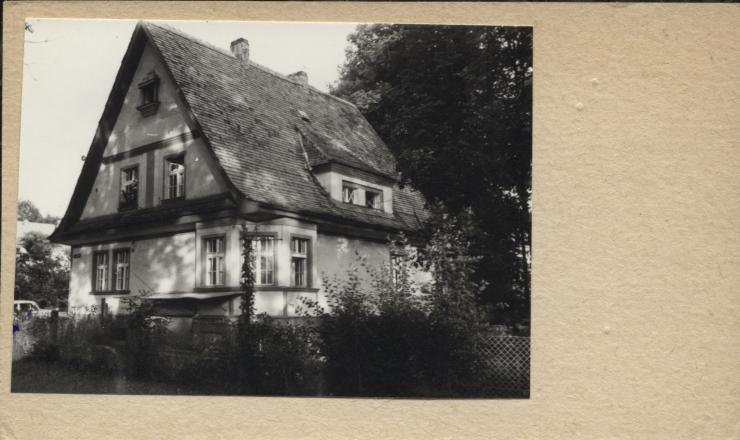 willa, skan 2