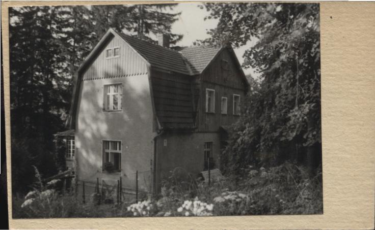 willa, skan 2