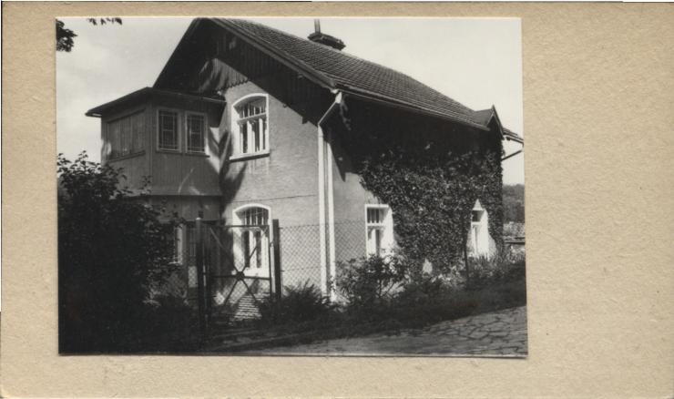 willa, skan 2