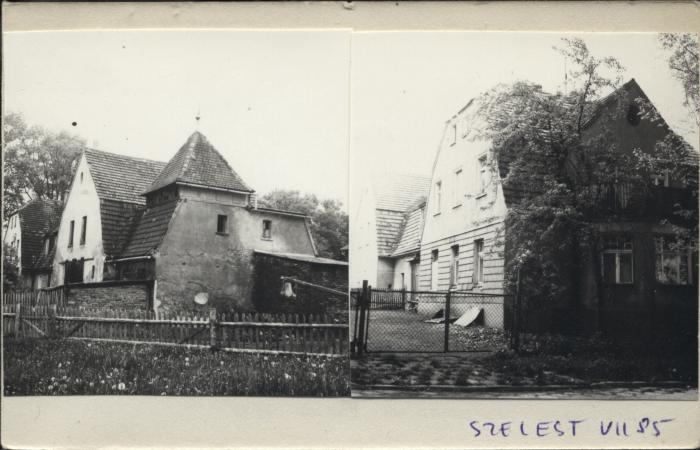 dom, skan 3