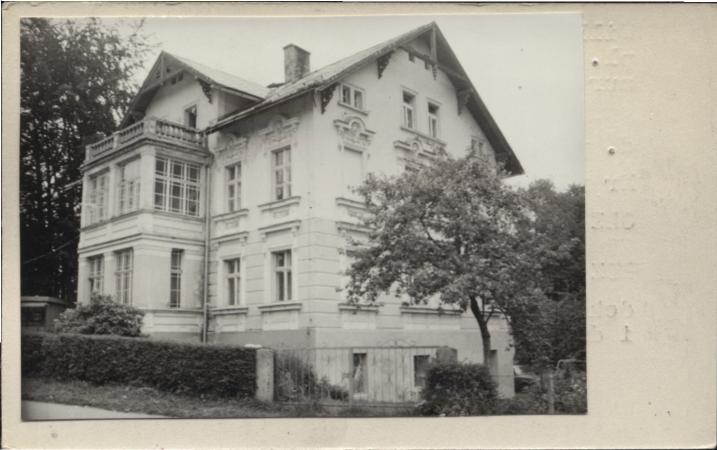 willa, skan 2