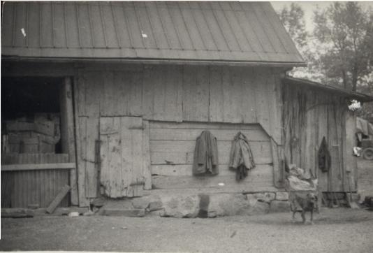 stodoła, skan 3
