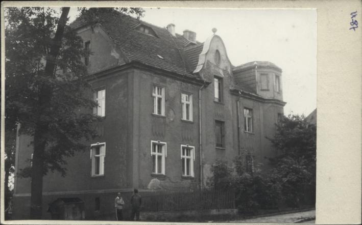 willa, skan 2