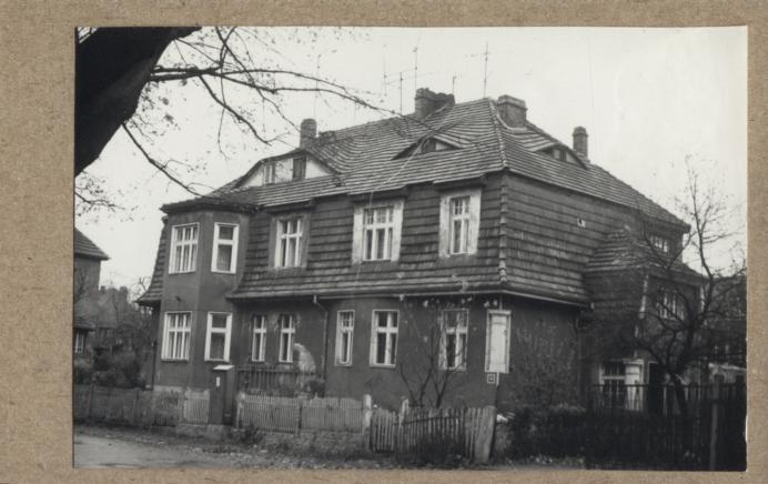 willa, skan 2