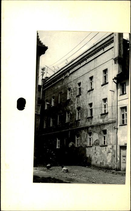 kamienica, skan 2