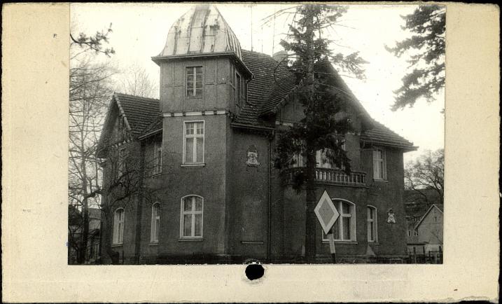 willa, skan 2