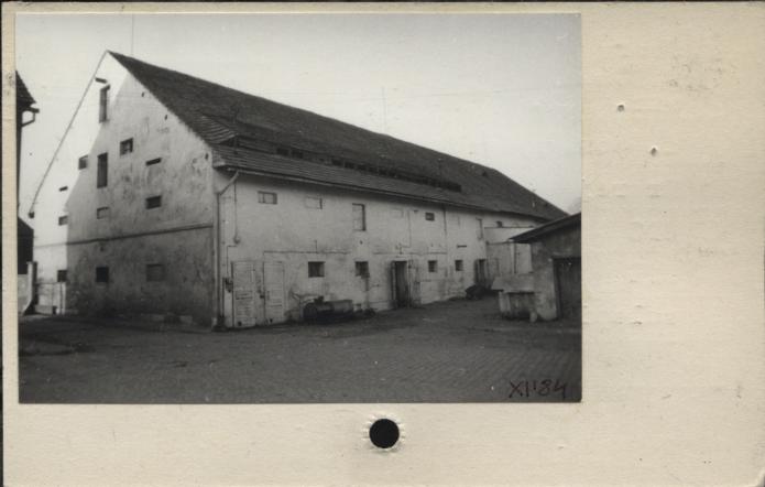 obora w stadninie koni, skan 2