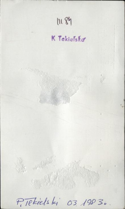 budynek mieszkalny, skan 3