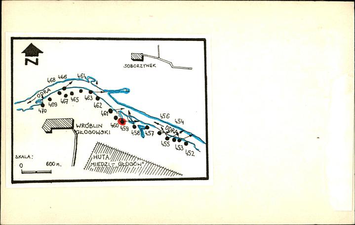 schron bojowy nr 459, skan 2