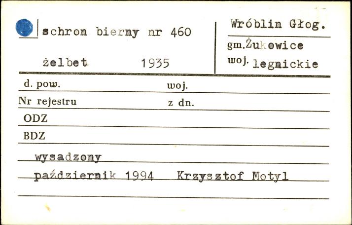 schron bierny nr 460, skan 1