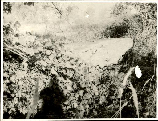 schron bierny nr 464, skan 3