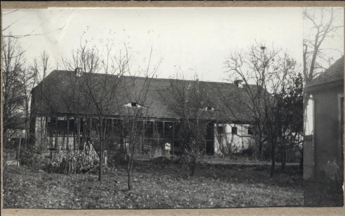 oranżeria, skan 2