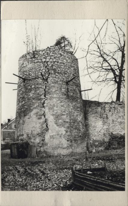 Wapiennik II, skan 6