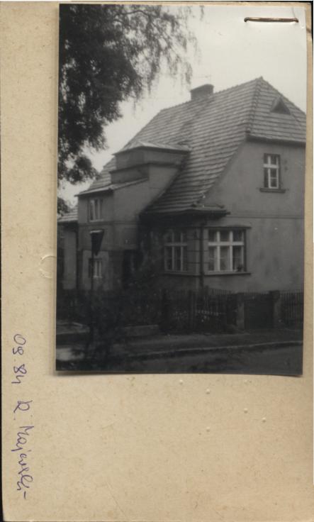 willa, skan 2