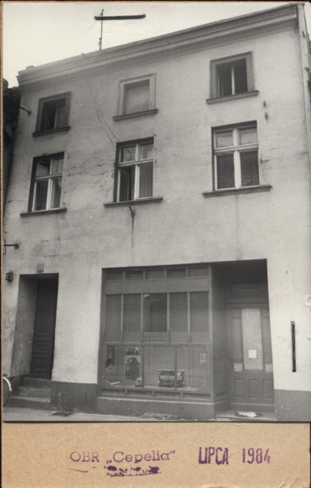 dom, skan 2