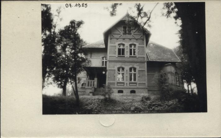 willa, skan 2