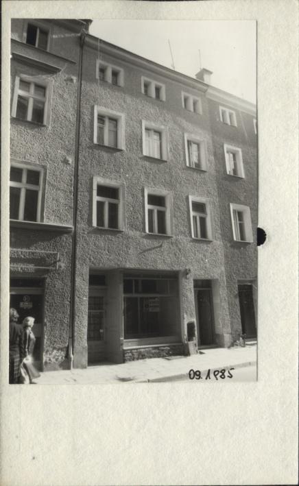 dom, skan 2