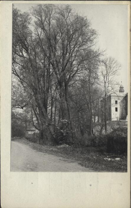 ogród w zesp. pałacowym, skan 2