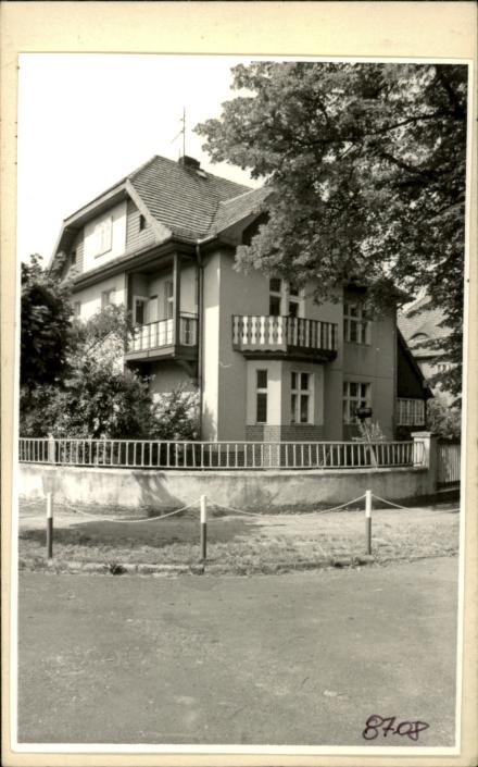 willa, skan 2