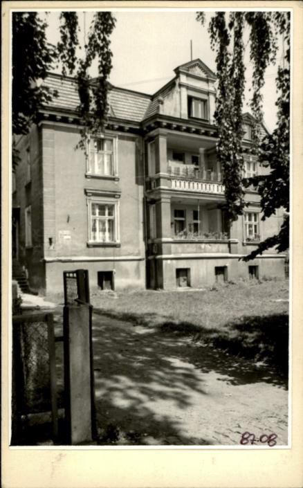 willa, skan 2
