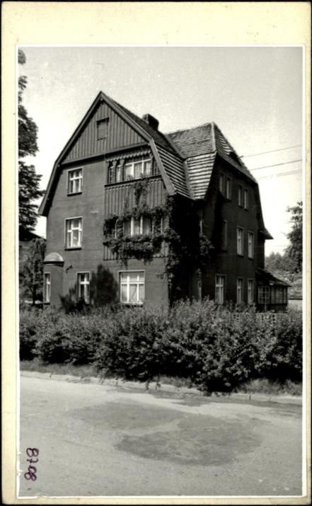 willa, skan 2