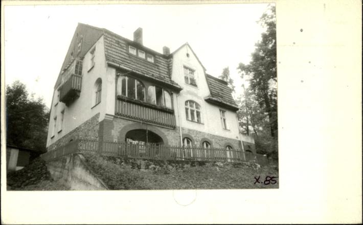 willa Hubertus, skan 2