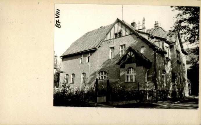 willa, skan 2