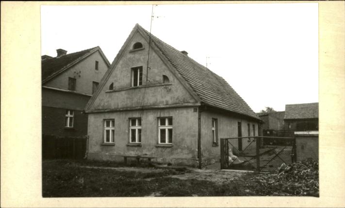dom, skan 2