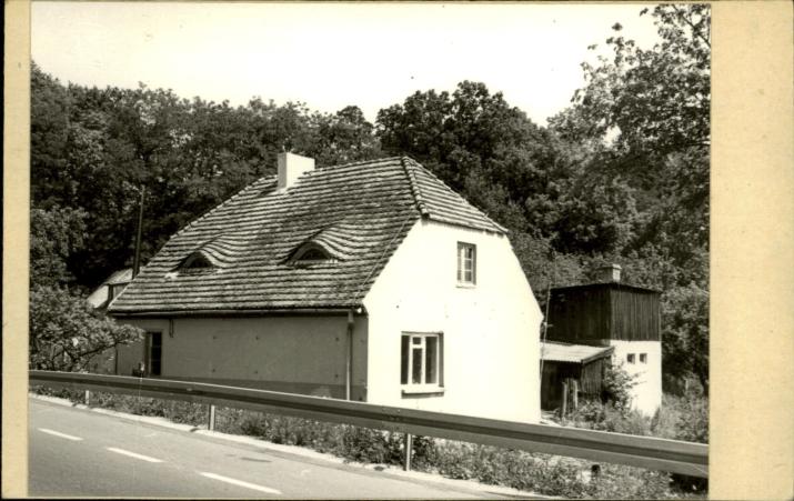 podleśnictwo, skan 2