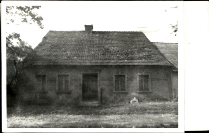 dom, skan 2