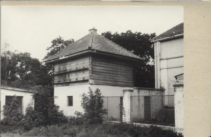 gołębnik, skan 3