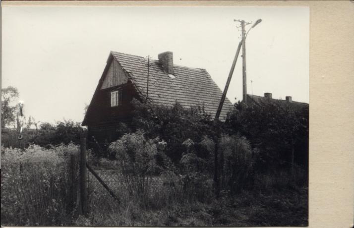 dom, skan 3